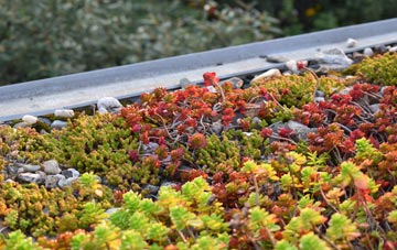 the cost of Tarleton Moss green roof installation