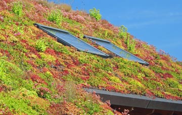 Tarleton Moss living roof systems