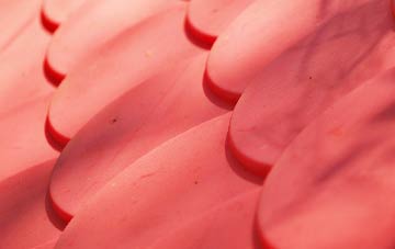 Tarleton Moss plastic roof costs