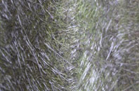 Tarleton Moss fibreglass roof work