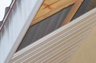 rated Tarleton Moss soffit repair companies